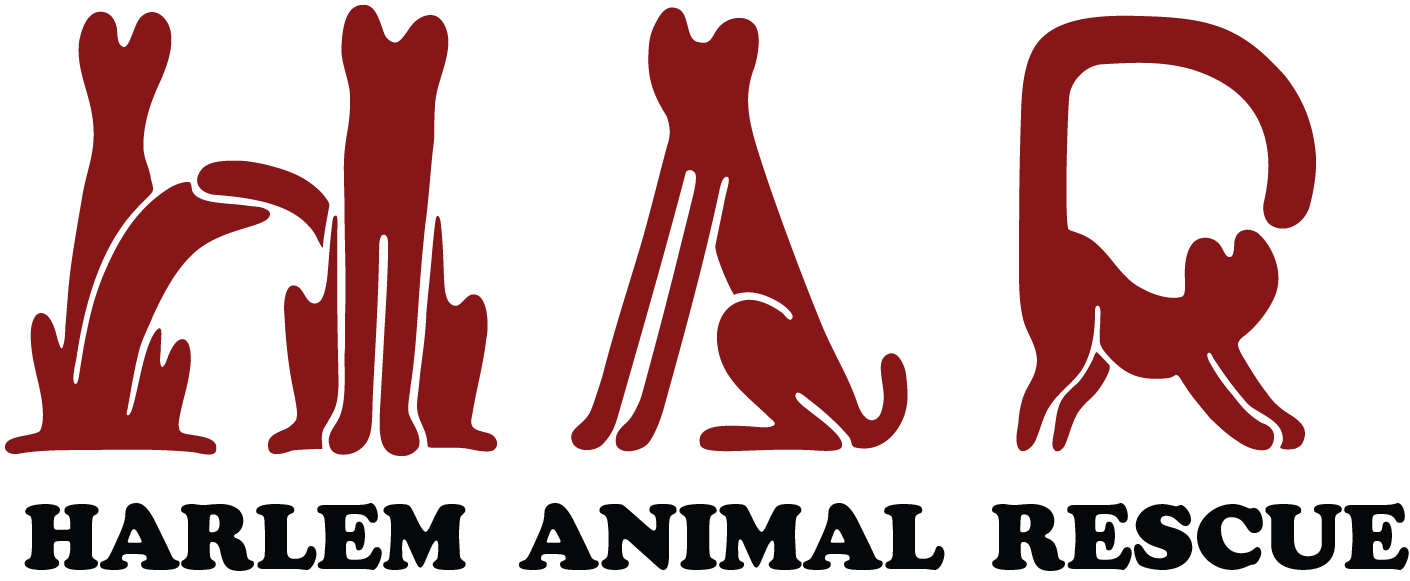 Harlem Animal Rescue